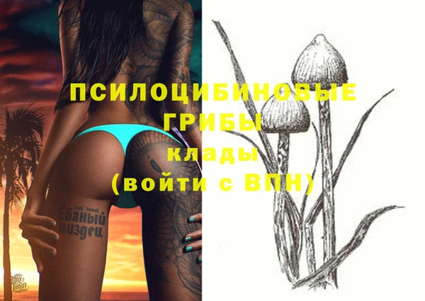 ГАЛЛЮЦИНОГЕННЫЕ ГРИБЫ Алзамай