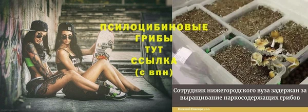 ГАЛЛЮЦИНОГЕННЫЕ ГРИБЫ Алзамай