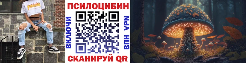 Псилоцибиновые грибы прущие грибы  Переславль-Залесский 